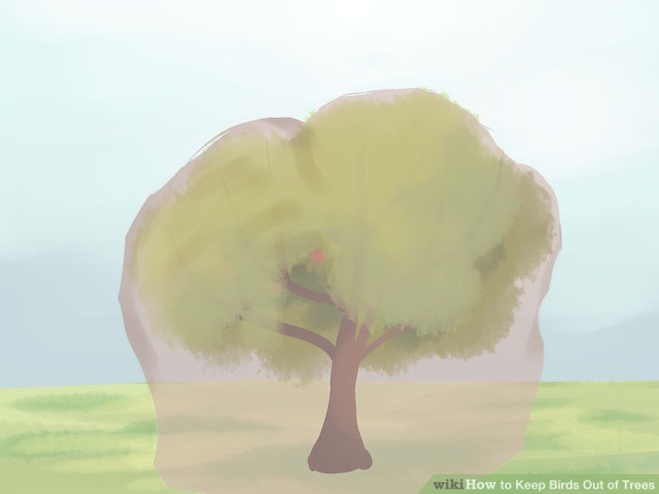 Keep Birds Out of Trees Step 8.jpg