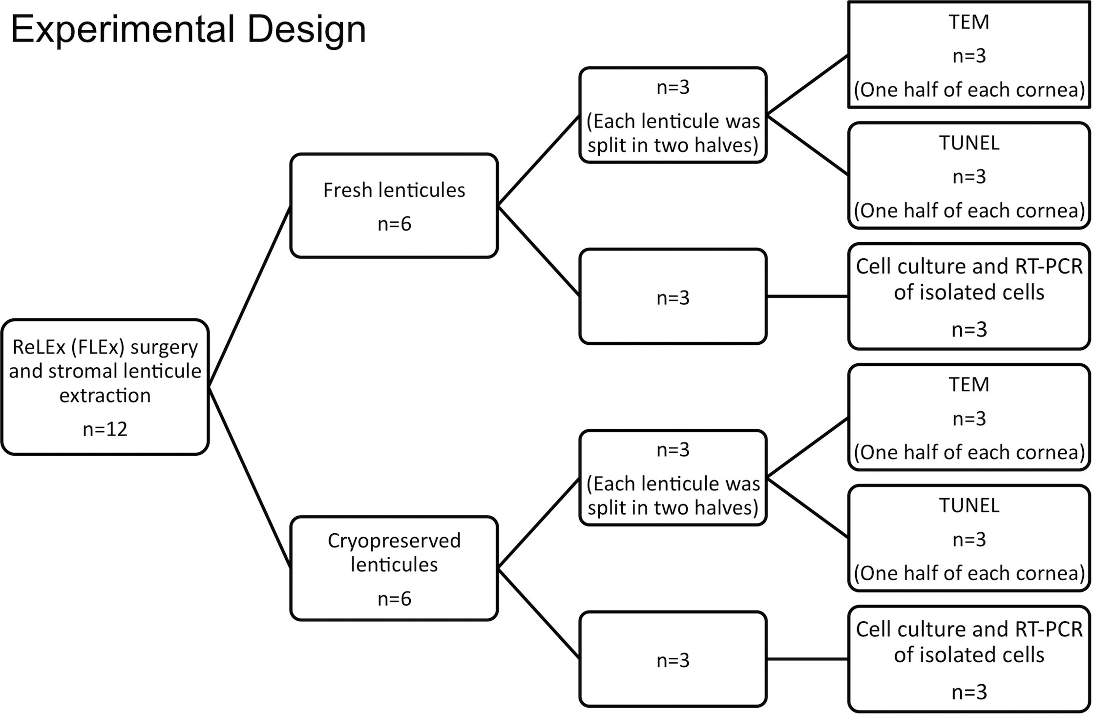 experimental research stages chart design flow 2011; Molecular Mol 17:3437 Vision: Mohamed Vis Noriega,