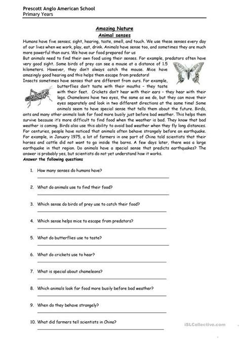 English worksheets for ks3, including shakespeare, poetry, reading and revision papers. fun reading about animal senses verb tenses animals reading fun
