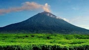 Ide Penting Sejarah Gunung Kerinci, Ukiran Sandal