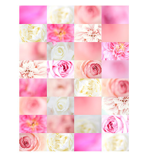 Pics Of Roses To Color. when it comes to color.