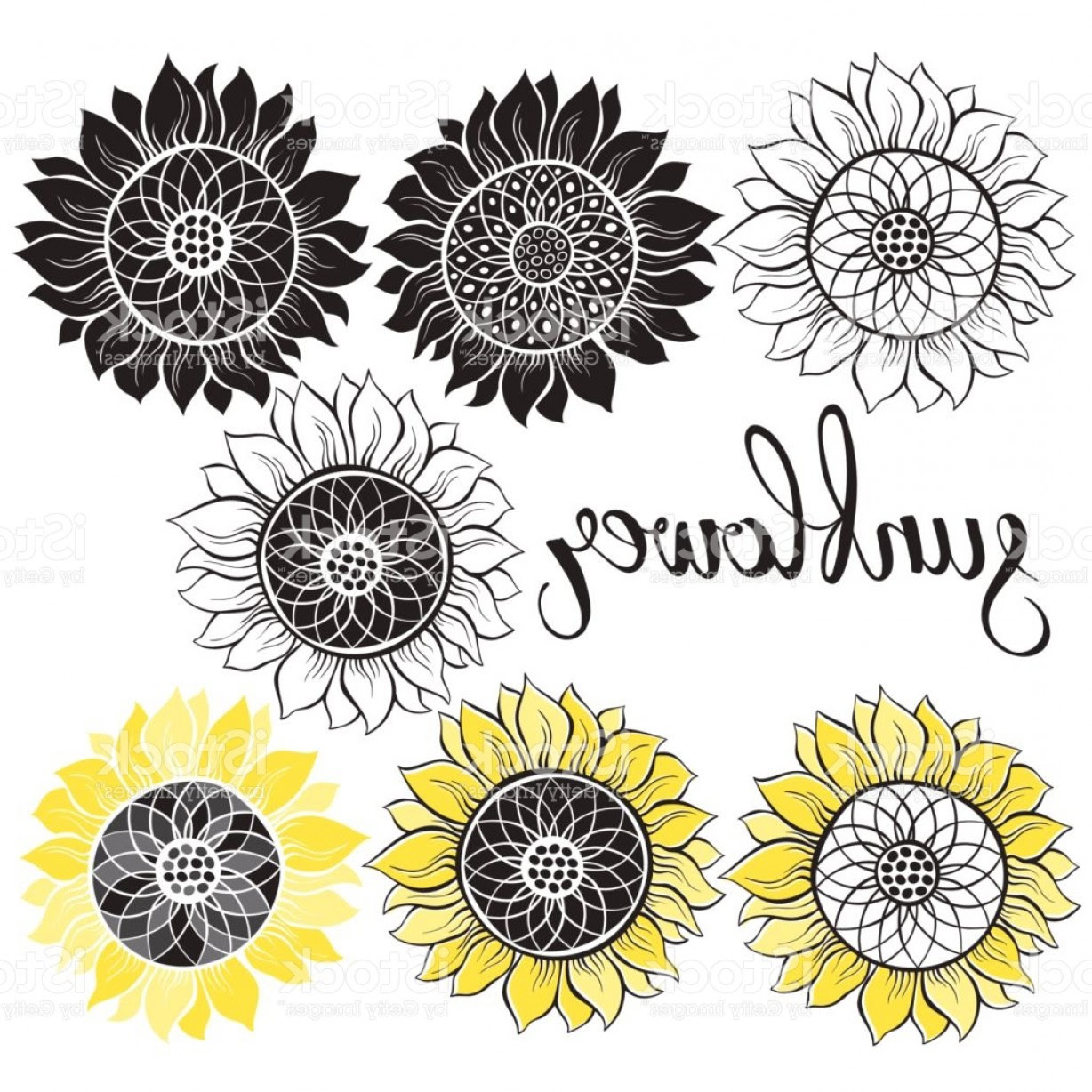 Free Free 183 Vector Sunflower Svg Free SVG PNG EPS DXF File