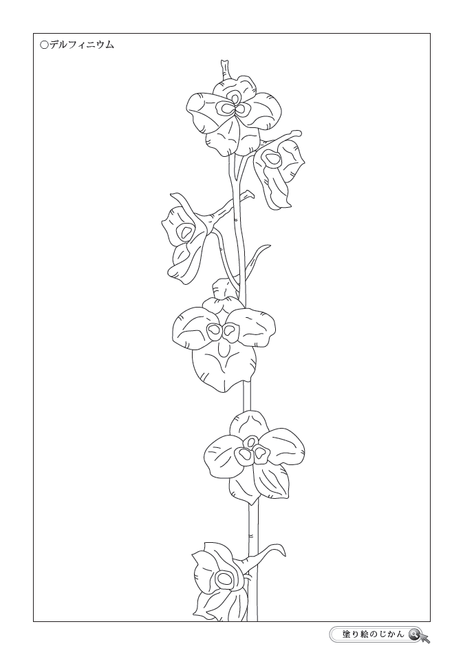 6月の花ぬりえ 塗り絵のじかん