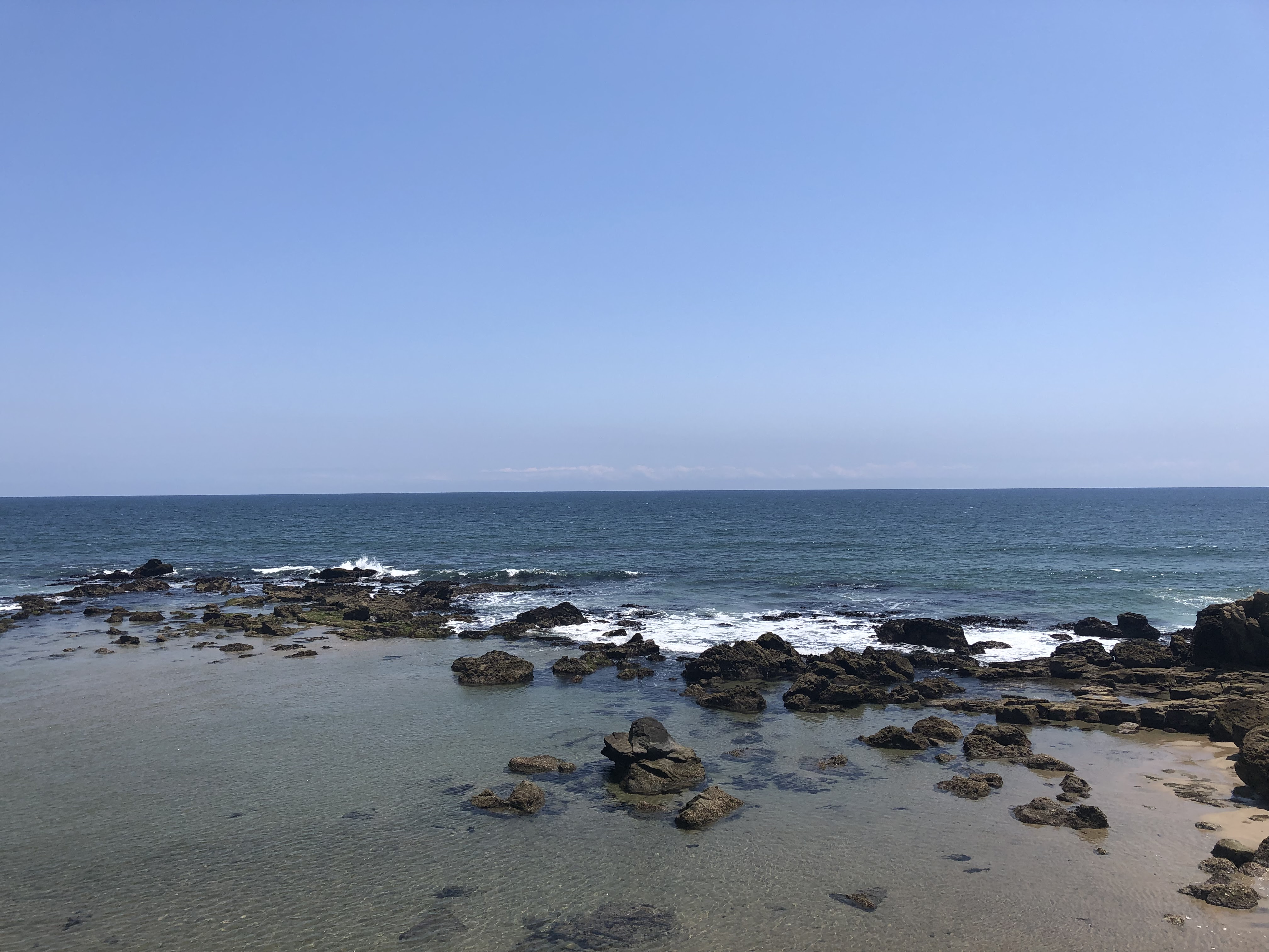 磯遊び 北茨城市観光協会公式ホームページ