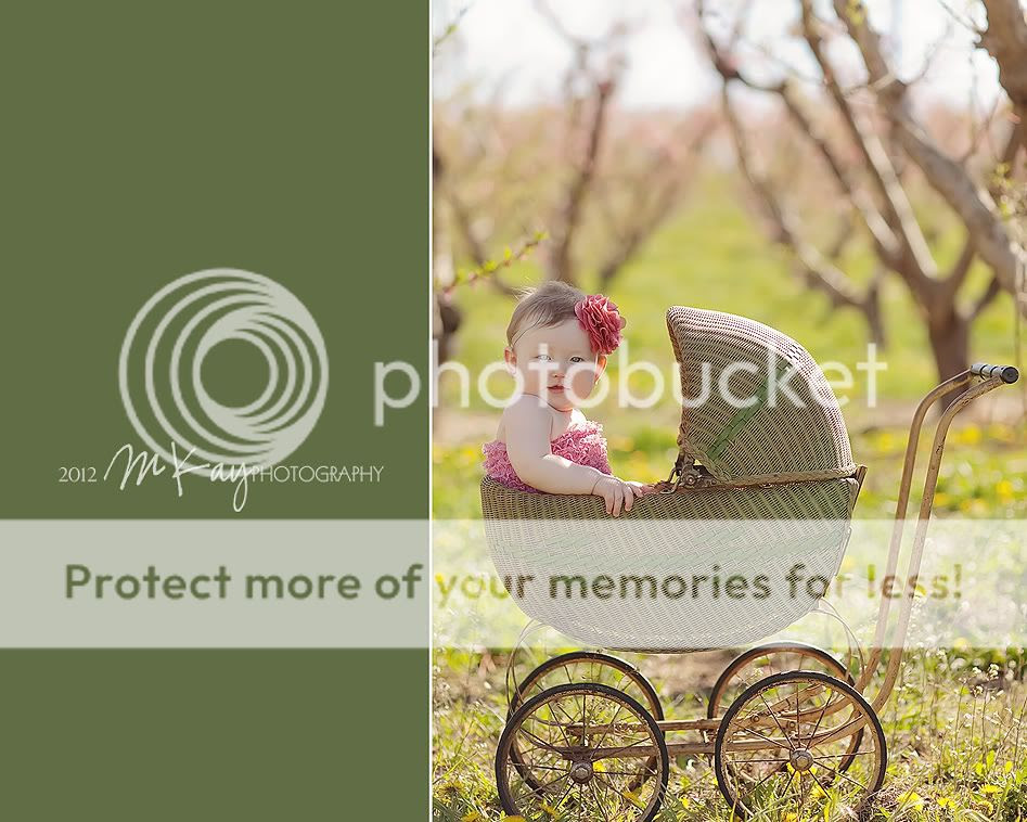 nampa boise meridian kuna idaho children's photographer