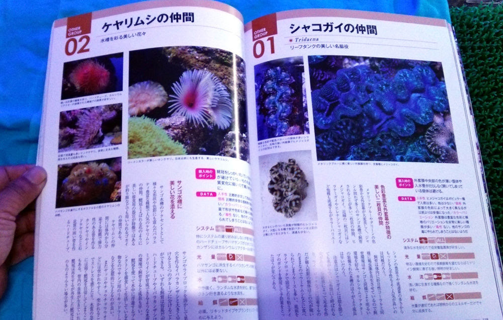 これからサンゴの飼育を始めたい方にお薦めの本入荷したよ 書籍のご紹介 海水魚のパイオニア 日海センター 日海フィッシュコム