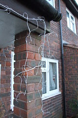 Whitebushes #1