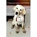 Marley & Me: Love and Life with the World's Worst Dog