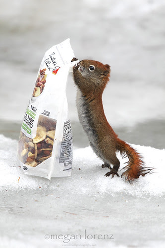 That's ok...I'll help myself by Megan Lorenz