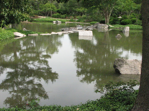 Reflections