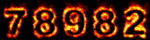 Web Counter