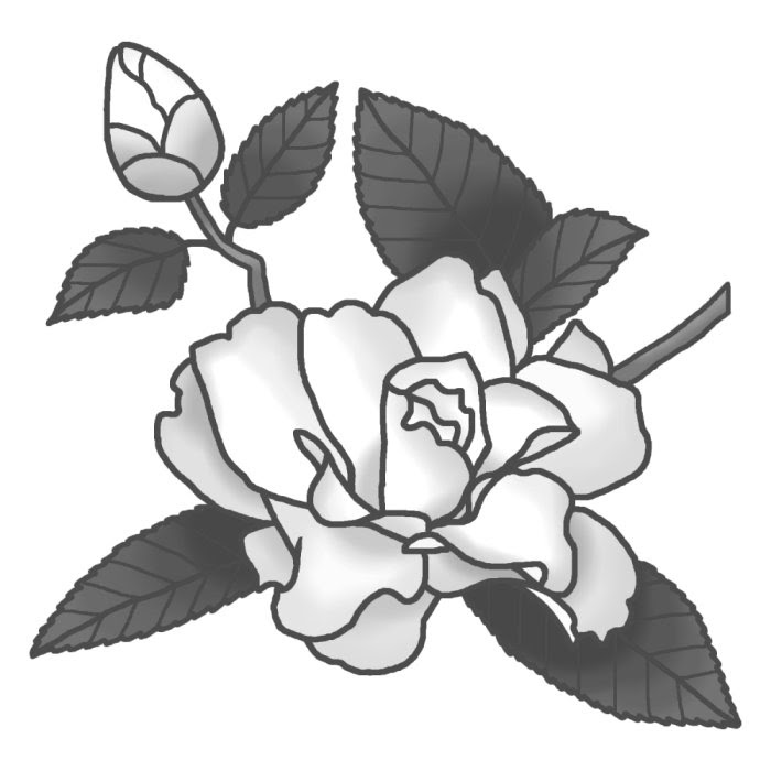 冬の花1 カンツバキ 寒椿 3 モノクロ 花のイラスト 季節の花 お花と季節のお礼状