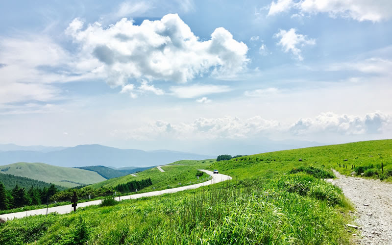 信州ビーナスラインの宿泊 車山高原ペンショングリーンスポット 周辺観光のご案内