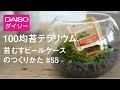 コレクション ダイソー 苔���ラリウム 268798-ダイソー ���テラリウム