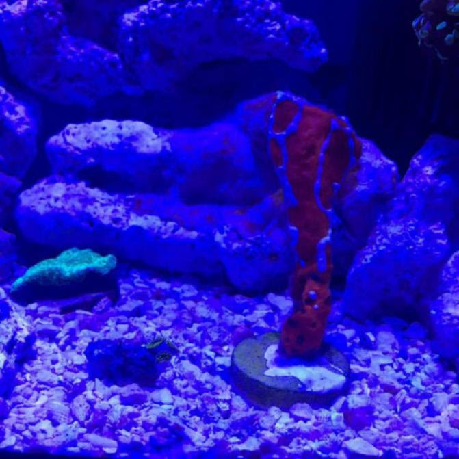 Click image for larger version Name: image_1466297855374.jpeg Views: N/A Size: 733.6 KB ID: 128913