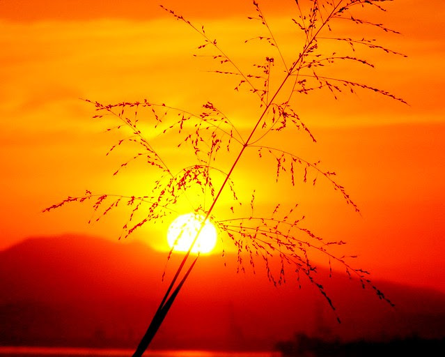 The beauty of simplicity