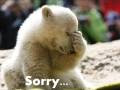 VERY FUNNY PICTURES