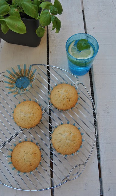 Coconut Vanilla Muffins