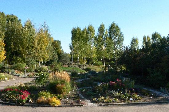yampa river botanic park steamboat springs reviews of yampa Yampa River Botanic Park 550x366