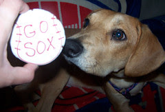 SoxCookies_SophieB