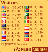 Flag Counter