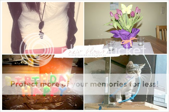 http://i402.photobucket.com/albums/pp103/Sushiina/newblogs/blog_viole.jpg