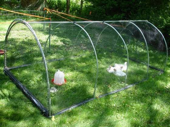 A chicken coop for Heather's chickens in Lawrence, KS