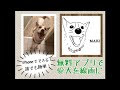 【人気ダウンロード！】 無料 犬 イラスト 230763-犬 顔 イラスト 無料