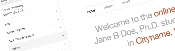 Theme Customizer