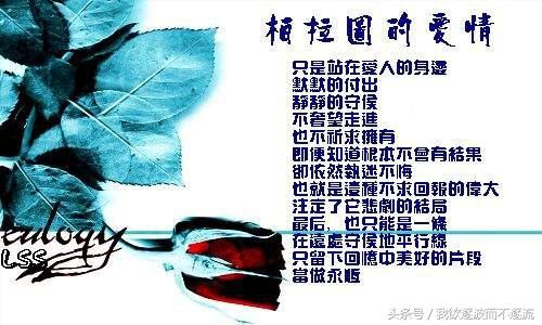 柏拉圖 經典名言 愛經驗