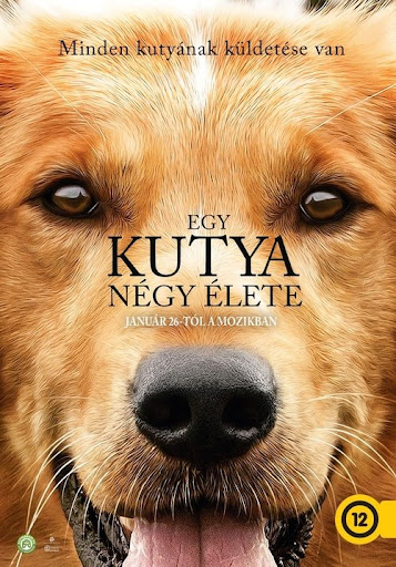Kép