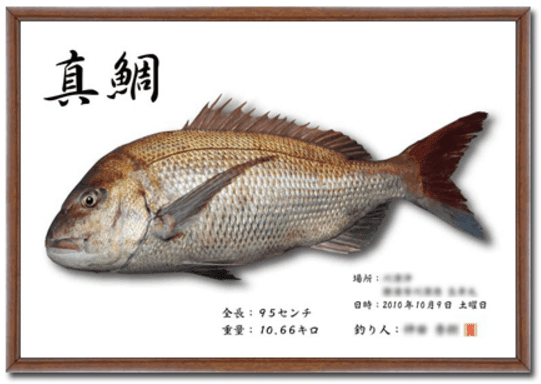 デジタル 魚拓 スマホに保存してある 画像 から作成できる Red Wave