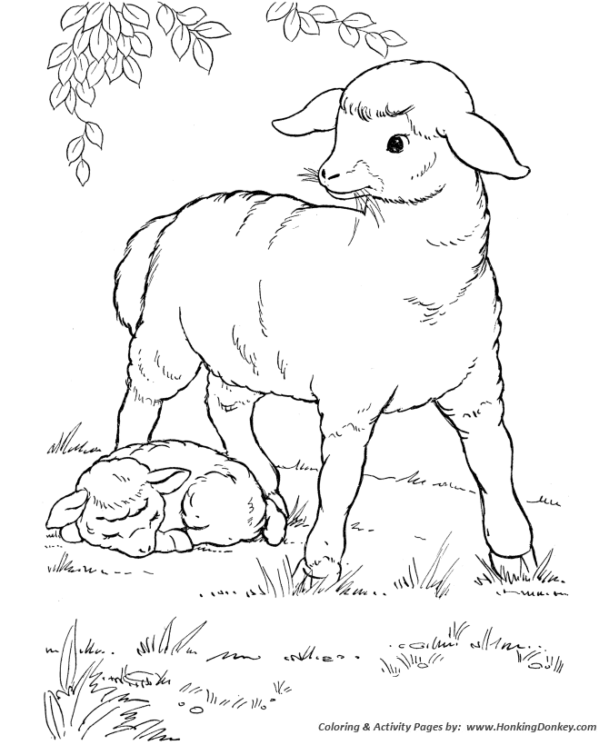 Farm Animal Coloring Pages Mother Sheep Coloring Page and Kids