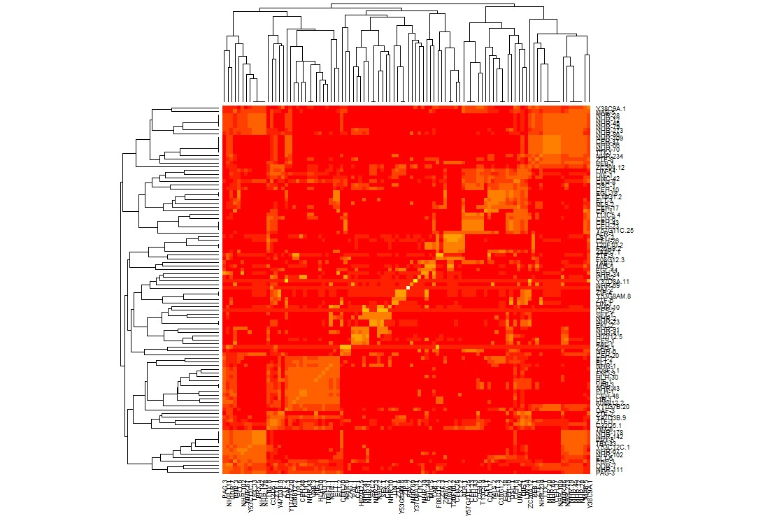 matrix by size visualization of Hierarchical data clustering matrix by size visualization of Hierarchical data clustering