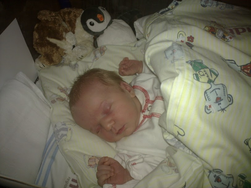 poemas en espanol. mejores poemas en espanol