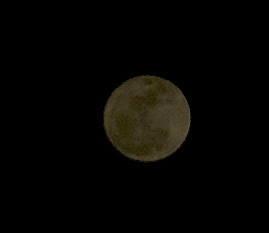 DSC_0031_2