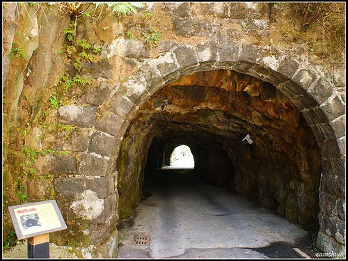 DSC05089