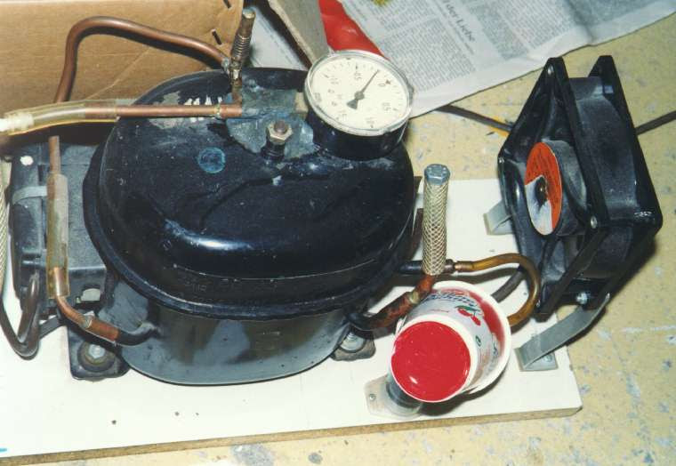 bomann kühlschrank neckermann