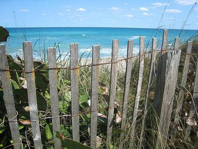 Tiger Woods House tiger woods house inside. Tiger Woods House