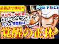 【人気ダウンロード！】 ワンピース 能力 覚醒とは 219275