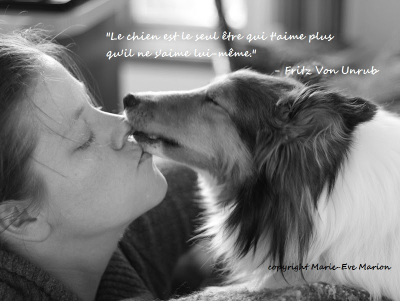 Citation Chien Fritz Von Unrub