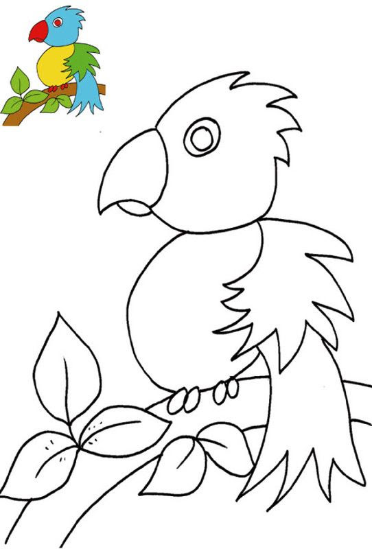 Carte Danniversaire 4 Ans Coloriage De Voiture Pour Enfant