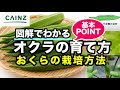 [最も欲しかった] オクラ いらすとや 846714-オクラ いらすとや