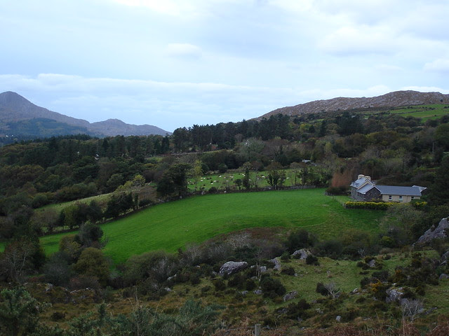 Ireland 2010 090