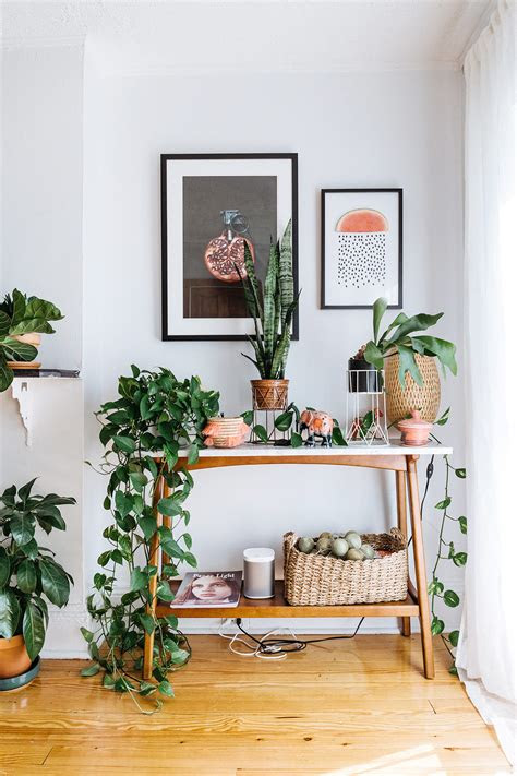 Creating a woodland oasis under a large tree is a charming idea, but thirsty roots and limited soil can be a challenge. Bring Climbing Vines Indoor And Make Your Home Look Like A