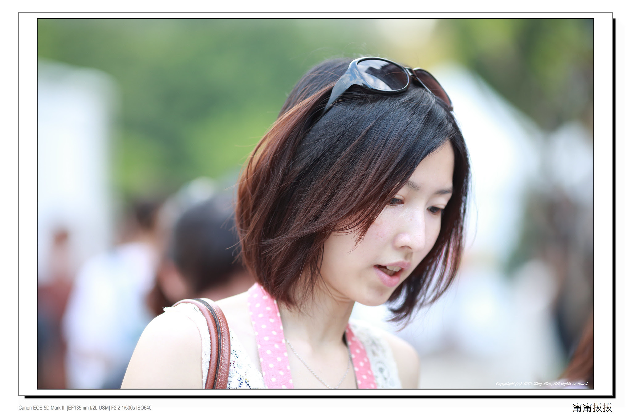 frame_BING8546