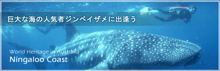ニンガルー コースト 世界遺産 オーストラリア教育旅行ガイド