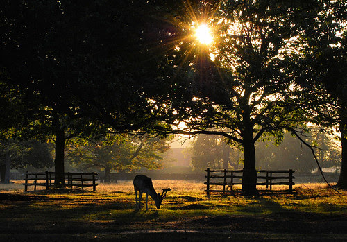 Fading Light by kev747