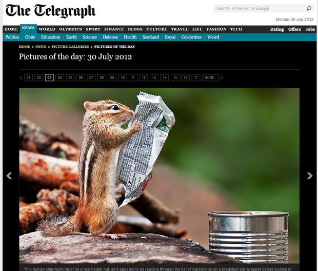 Esquilo parece ler informações de embalagem. (Foto: Reprodução/Daily Telegraph)