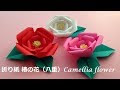 √ カメリア 花 333271-カメリア 花言葉